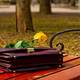 Illustration for article titled Is A Law Degree A Dating Liability?